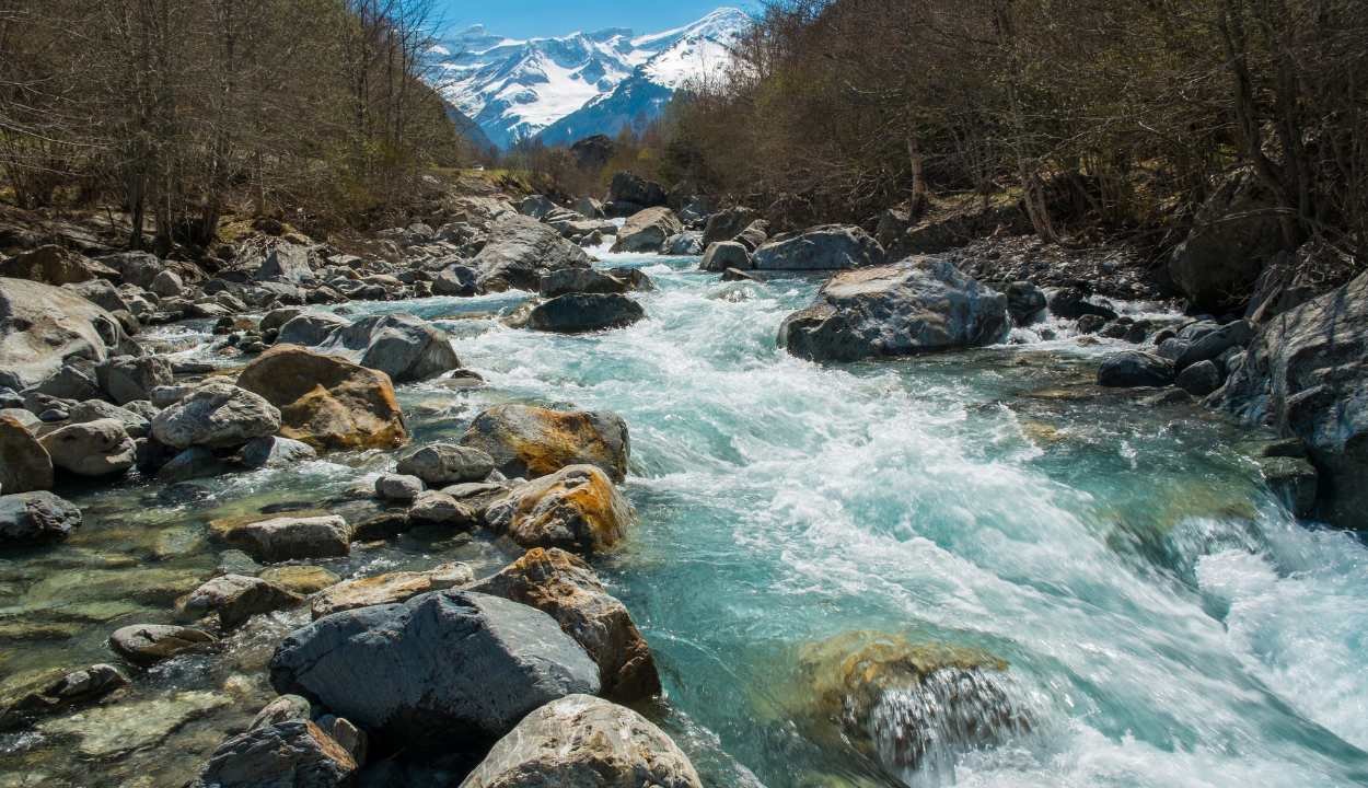 Luxury Himachal Retreat